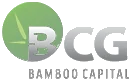 Logo BCG
