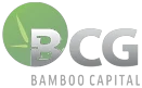 Logo BCG