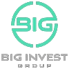 Logo BIG