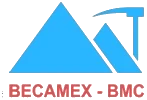 Logo BMJ