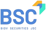 Logo BSI