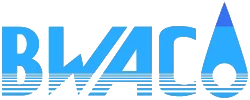 Logo BWS