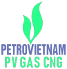 Logo CNG