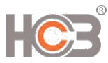 Logo CSV