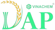 Logo DDV