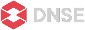 Logo DSE