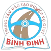 Logo DVT