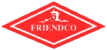 Logo FTI