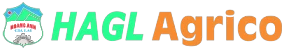 Logo HNG