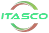 Logo ITS