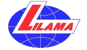 Logo LLM