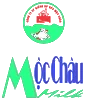 Logo MCM
