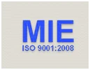 Logo MIE