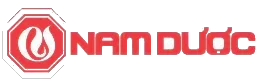 Logo NDC