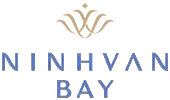Logo NVT