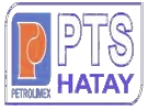 Logo PTH