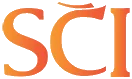 Logo S99
