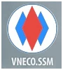 Logo SSM