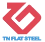 Logo TNS