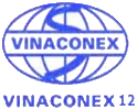 Logo V12