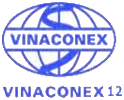 Logo V12