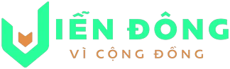 Logo VID