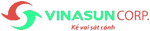 Logo VNS