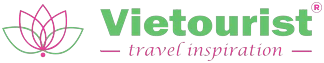 Logo VTD