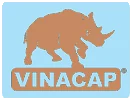 Logo VTE